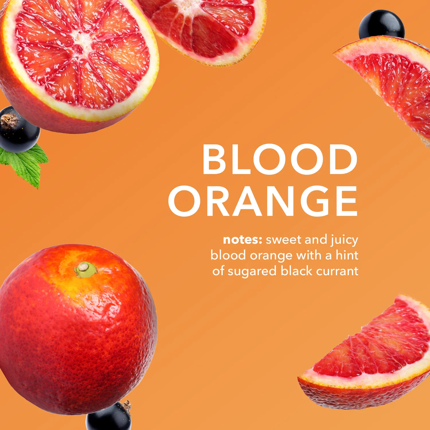 Blood Orange Goat Milk Body Lotion - Image 4