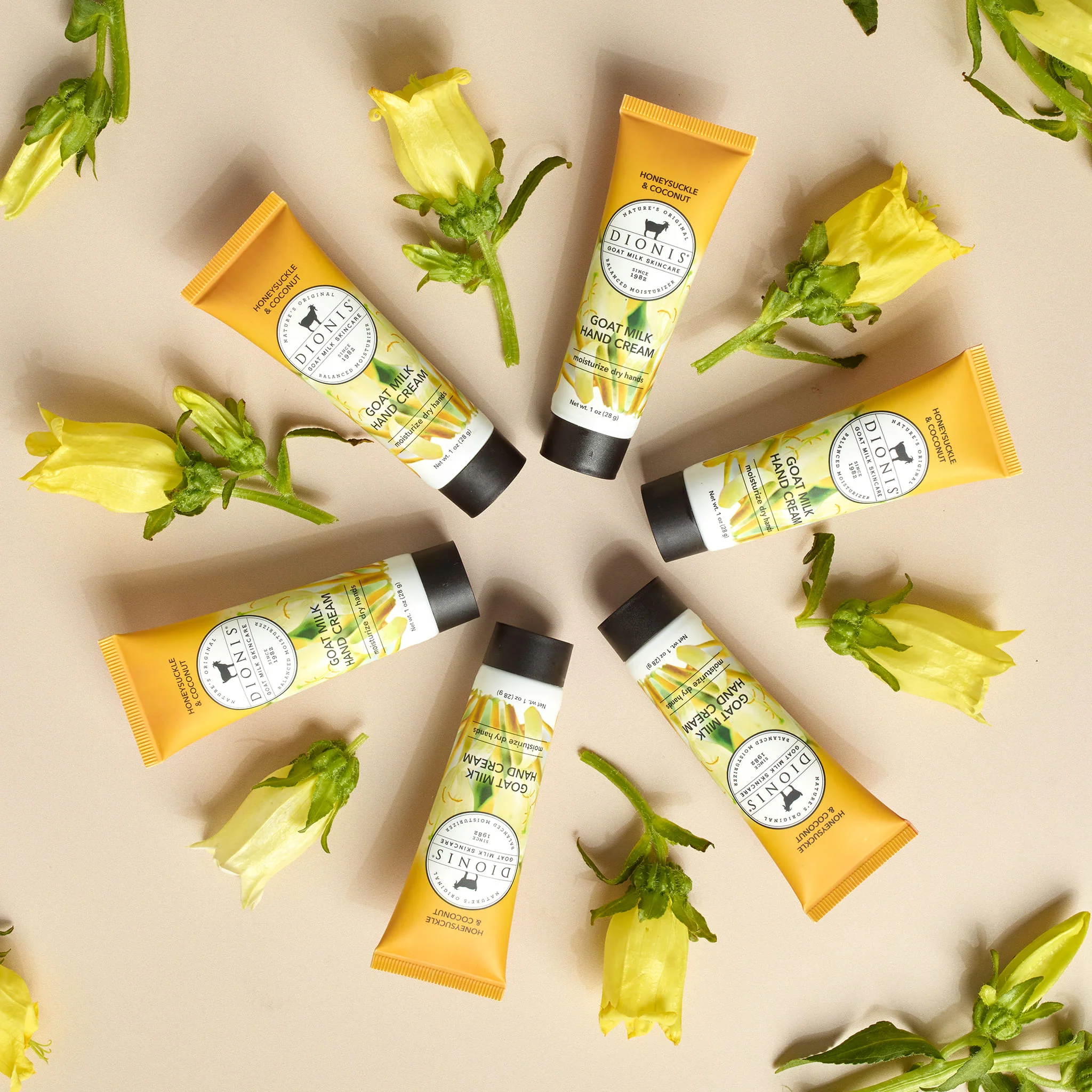 Honeysuckle & Coconut Goat Milk Hand Cream, Set of 6 - Image 5