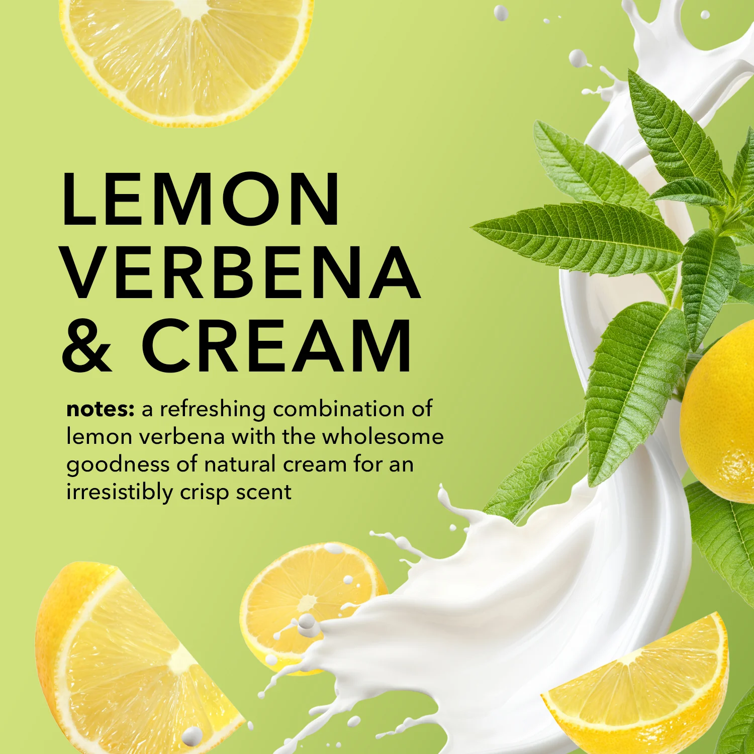 Lemon Verbena & Cream Hand & Body Goat Milk Cream - Image 4